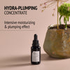 Comfort Zone: SKIN REGIMEN 1.85 HA BOOSTER Hydra-plumping concentrate with hyaluronic acid-9704f789-135e-4778-9a43-f75317cebf5d
